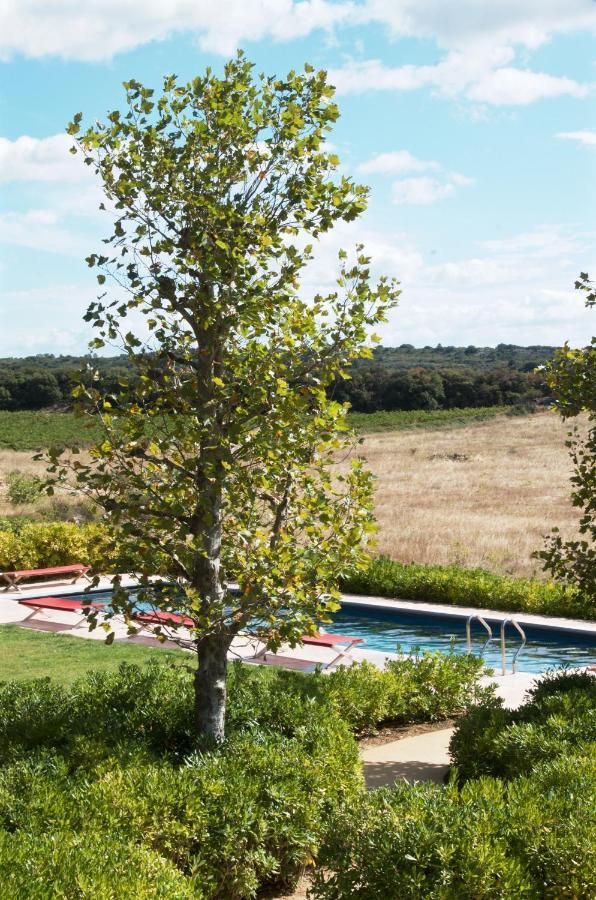 Village Castigno - Wine Hotel & Resort Assignan 外观 照片